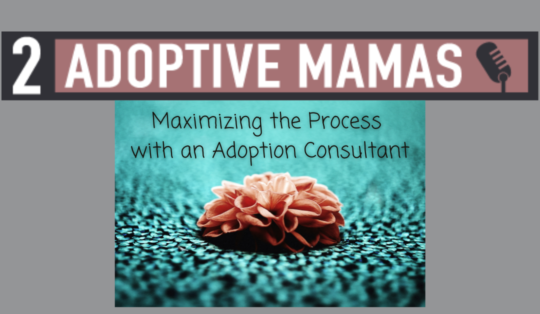 Maximizing the Process with an Adoption Consultant with MacKenzie Mygatt
