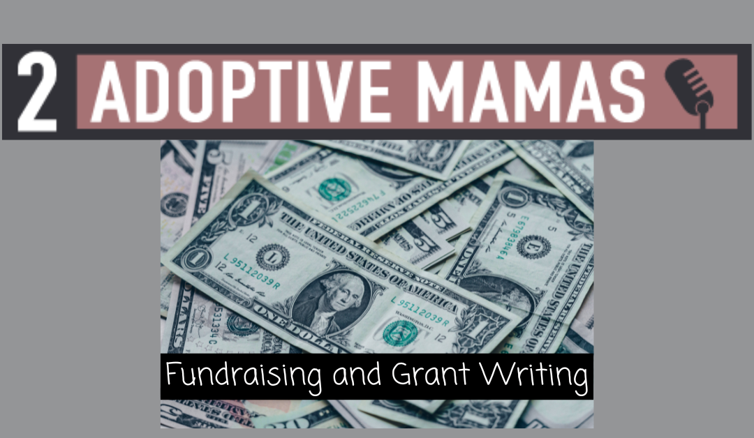 Fundraising and Grant Writing with Dan