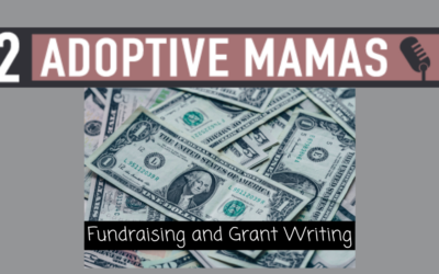 Fundraising and Grant Writing with Dan
