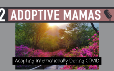Adoption Internationally During COVID: A Mom’s Story with Brigitta Canfield