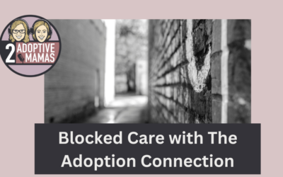 Blocked Care with The Adoption Connection
