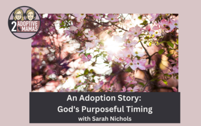 An Adoption Story: God’s Purposeful Timing with Sarah Nichols