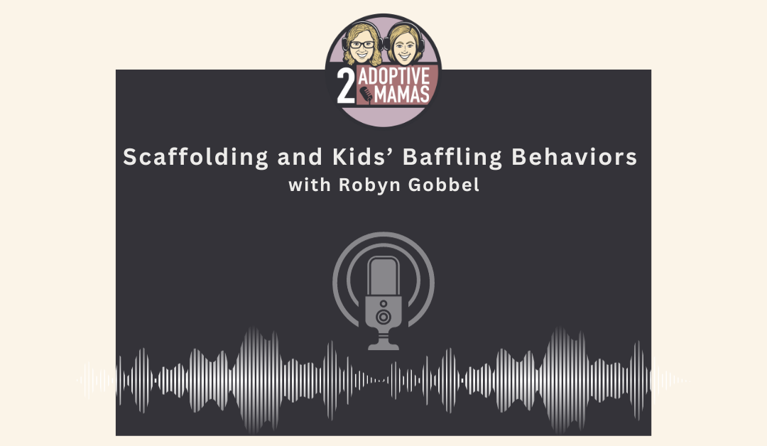 Scaffolding and Kids’ Baffling Behaviors with Robyn Gobbel